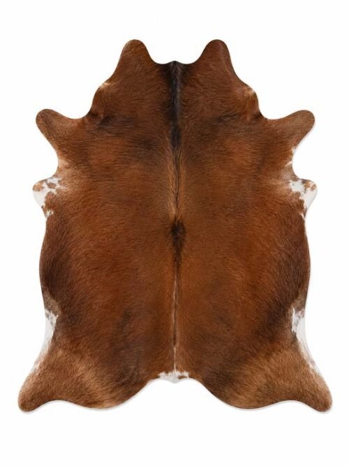 SIMMENTAL 2.20•2.10 cm